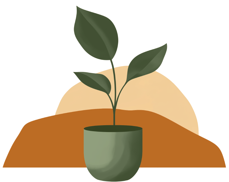 Drawing of a plant in the website color