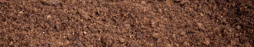 Peat Moss