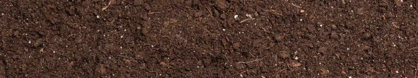 Potting Soil